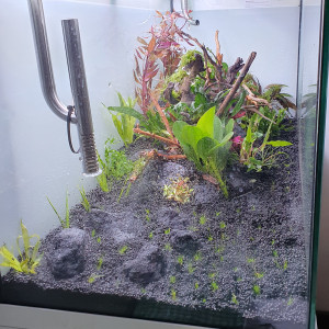 Aquarium JUWEL 180 L