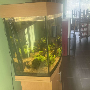IREENUO Filtre d'aquarium réglable, 600 l/h, pompe de filtre