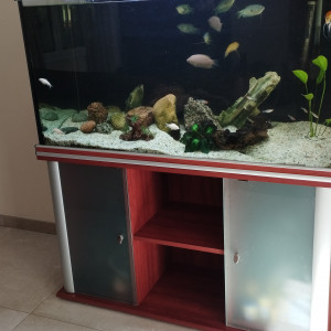 Aquarium Aquatlantis + meuble tout équipé