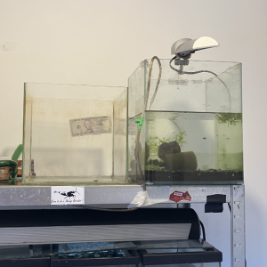 3 NANO Aquarium de 30L éclairage filtration