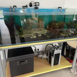 Aquarium complet 220 l