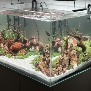 Kit aquarium + meuble - EHEIM Proxima Scape 175 L  - Quasi neuf