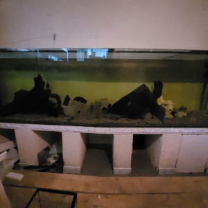 Aquarium 1680L