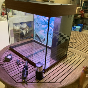 Vends aquarium