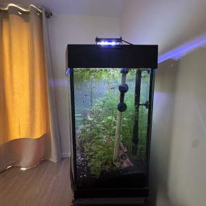 Aquarium JUWEL Vision (Curve)