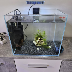 aquarium