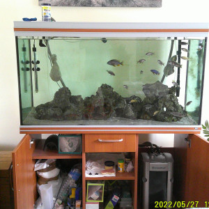 Aquarium de 450 litres