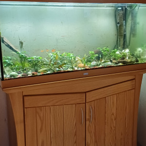 Aquarium Juwel vide et nettoyé