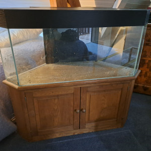 Vends aquarium angle prix donné + meuble en bois (peinture possible)