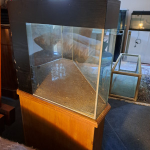 Vends aquarium angle prix donné + meuble en bois (peinture possible)