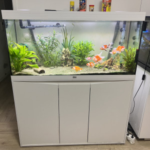 Aquarium 300L