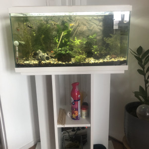 Aquarium 60l équipé + meuble