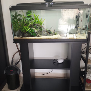 Aquarium 80l + meuble parfait état