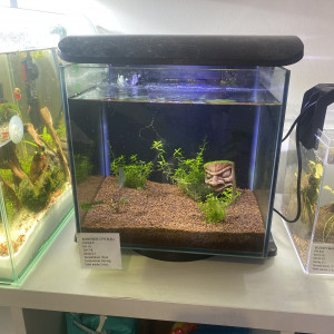 Aquarium complet tetra