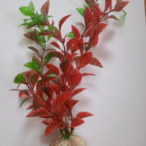 Plante artificielle aquarium rouge et verte