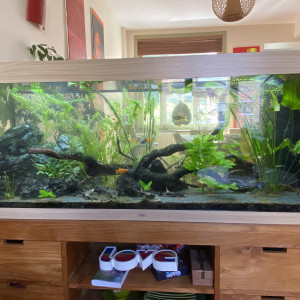 Aquarium Juwel Rio 450 l.