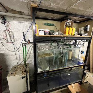 Aquarium 1500L à vendre