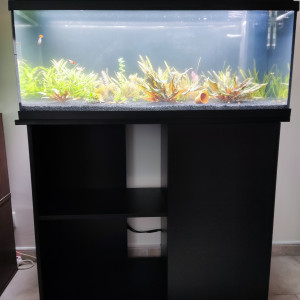 Aquarium juwel Anione 160l