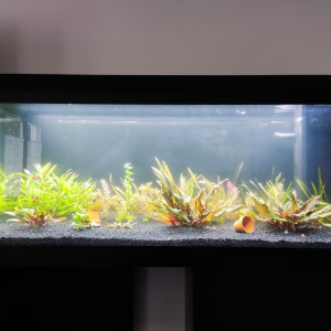 Aquarium juwel Anione 160l