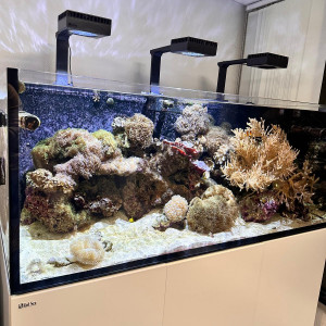 Aquarium 625 litres