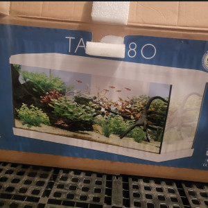 Aquarium Tana 80l blanc