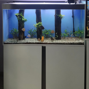 Aquarium Ciano 288 lt