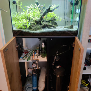 Aquarium et équipements à vendre