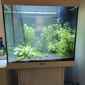 Aquarium Juwel Lido 120 + meuble + accessoires