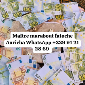 Comment fonctionne le vrai portefeuille magique en euro sans conséquences ? +229 91 21 28 69