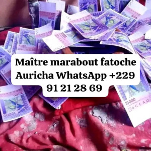 Démonstration du vrai portefeuille magique en europe et explication de son fonctionnement en euro, en dollar et en fcfa, WHATSAPP : 229 91 21 28 69