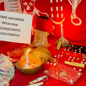 Tout savoir sur le portefeuille magique Tel:+229 01 57 96 05 01