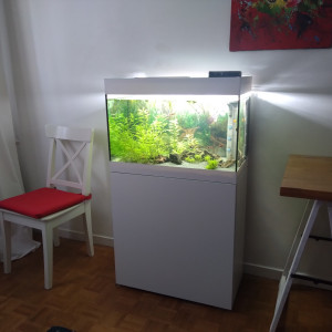 Aquarium 125l