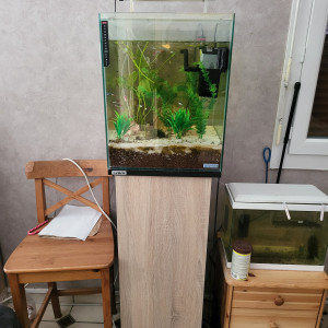 Aquarium Sera rectangulaire 80 litres avec meuble