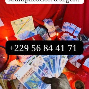 Vraiment, Comment faire la multiplication d'argent a distance en ligne ? +229 56 84 41 71