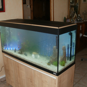 Vends aquarium 240 litres sur meuble