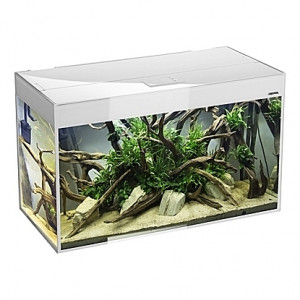 Aquarium AQUAEL Glossy 150 (Blanc) - 405L