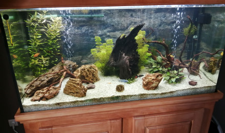 Garosa Réservoir de poissons Aquarium en plastique Bruchage des