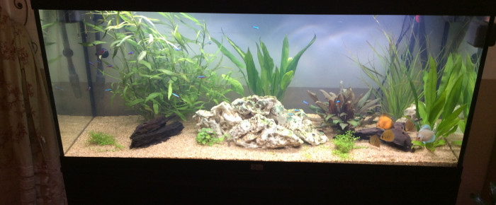 aquarium 300 l , de FABRICE94