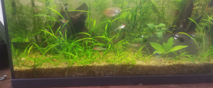 aquarium 60 L , de Spaceman