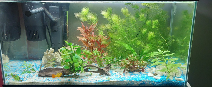 aquarium Ciano led 60l , de PassionAQUA