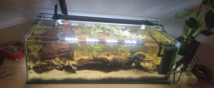 aquarium 30 litres en longueur , de Val90