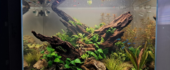 aquarium 96 litres , de Damp92