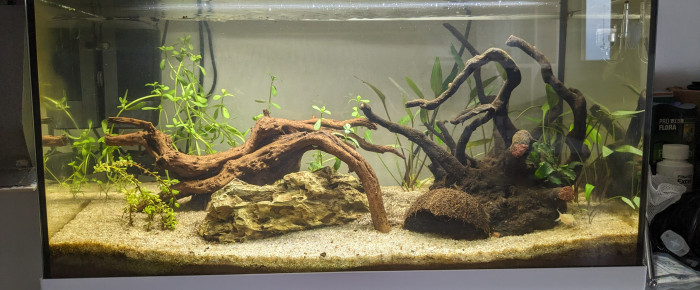 aquarium 60L , de Eric.S