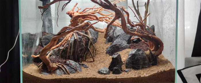 aquarium Hardscape , de Loran