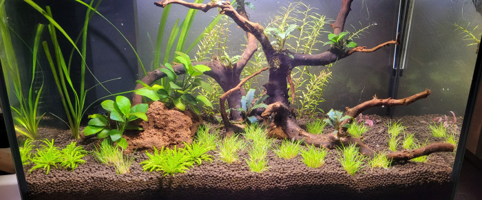 aquarium 30 l , de Sandy60