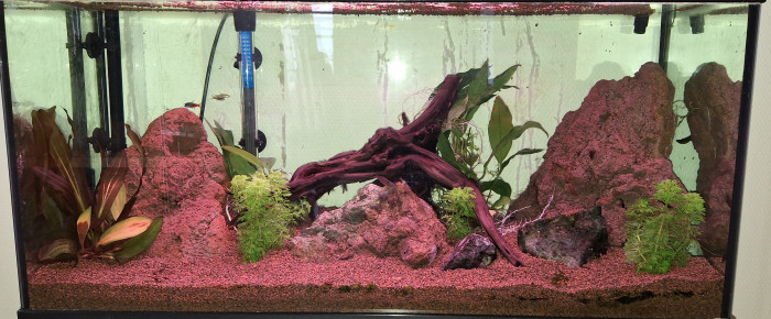 aquarium Aquarium 80L , de MyssLily