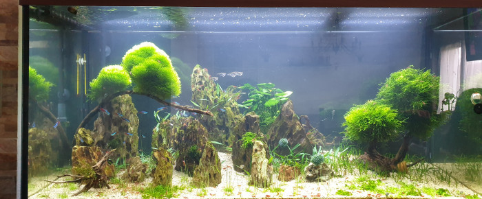 aquarium Juwel 350 , de Lfouille37